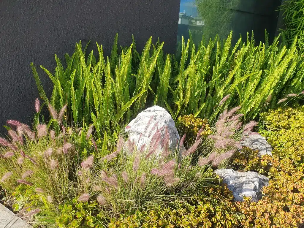 Biofilia Studio Landscaping Ecuador