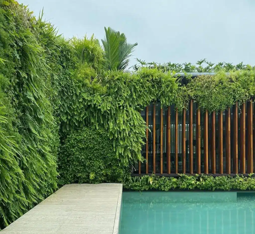 Biofilia Studio Landscaping Pool