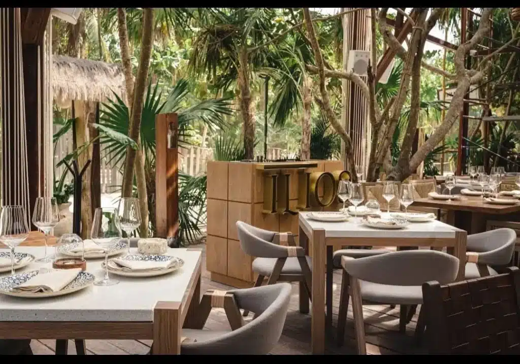 Biofilia Studio Landscaping Ecuador Furniture