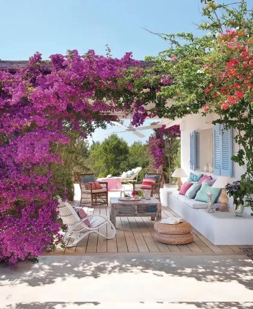 Biofilia Studio Landscaping Outside