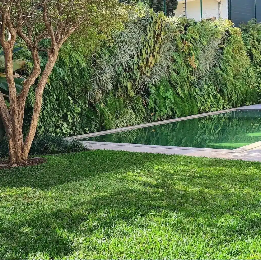 Landscaping Ecuador